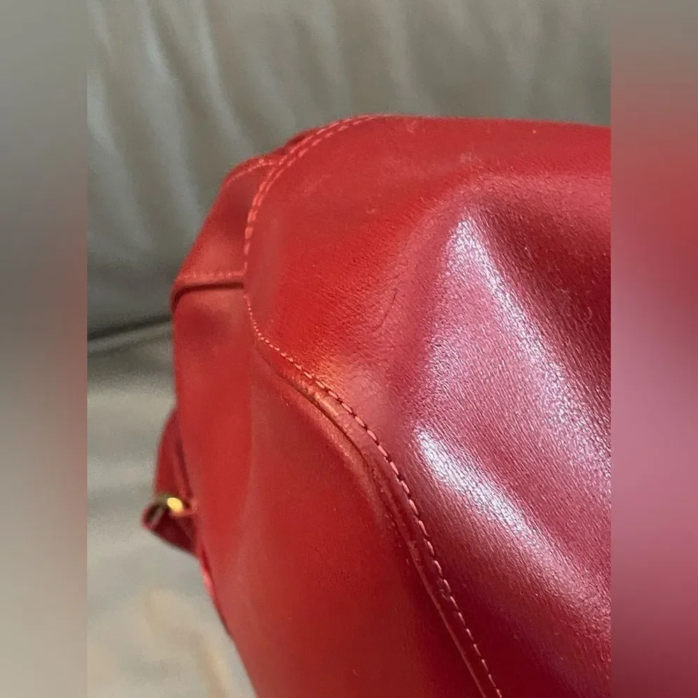 Vintage Longchamp Roseau Leather Bag in the color Bordeaux.